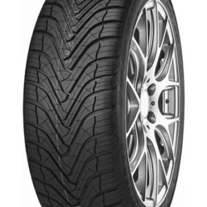 255/50R19 MALATESTA KOALA 105V M+S