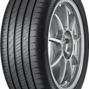 215/50/R17 MINERVA F205